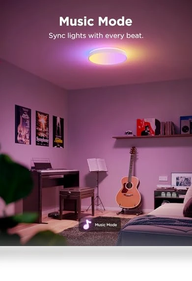 Smart Ceiling Light — Ceiling, Govee
