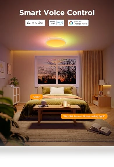 Smart Ceiling Light — Ceiling, Govee