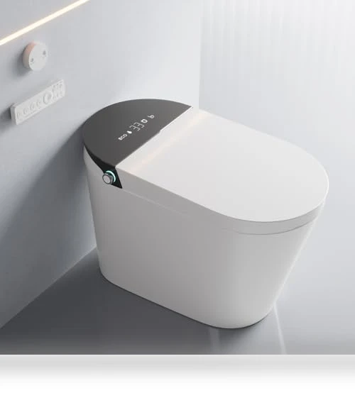 Tankless Elongated Toilet — Bathroom Essentials, MIJIC