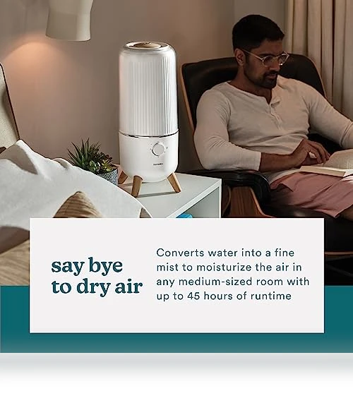 Ultrasonic Humidifier — Air Moisturizers, Homedics