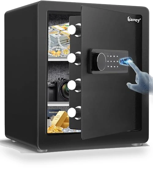 Cub Biometric Safe Box — Biometric Security, Kavey