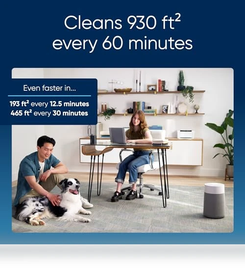 HEPASilent Air Purifier — HEPA Air Purifiers, BLUEAIR