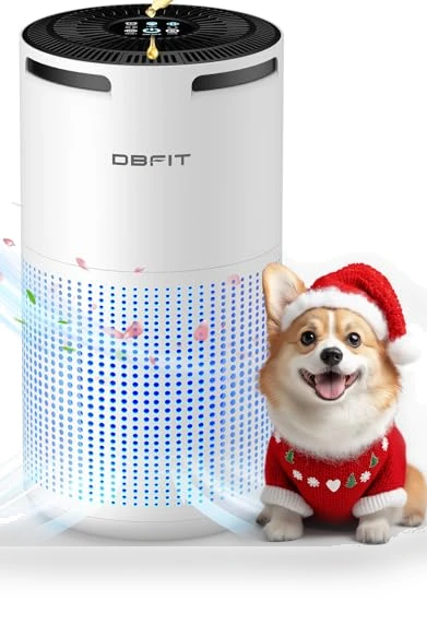 Large Room Air Purifier with Aromatherapy — HEPA Air Purifiers, DBFIT