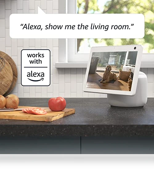 Pan-Tilt Camera — Smart Home Security, Blink