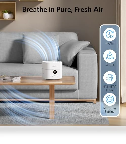 Air Purifier and Humidifier Combo — Air Moisturizers, HomBreez