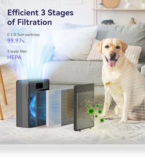 Air Purifier for Home with HEPA Filter — HEPA Air Purifiers, YARIKI