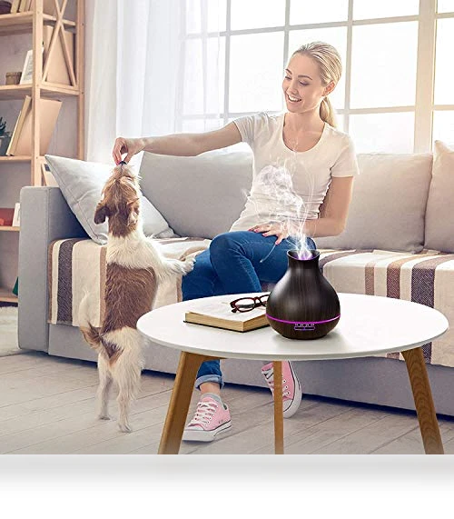 Aromatherapy Essential Oil Diffuser — Diffusers, BZseed