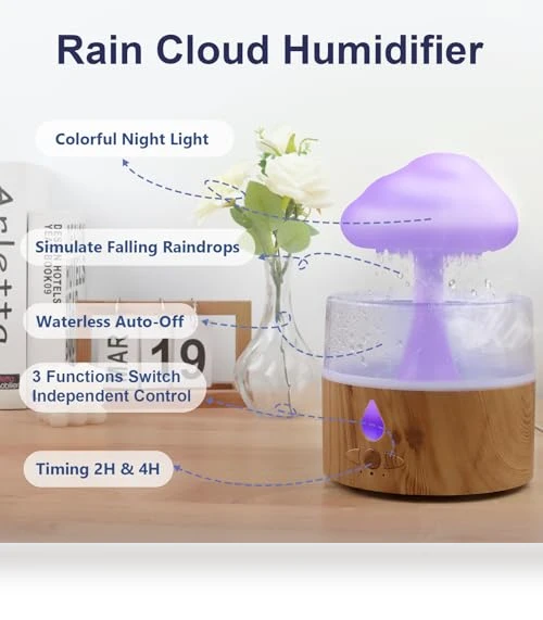 Rain Cloud Humidifier — Air Moisturizers, Foyucool