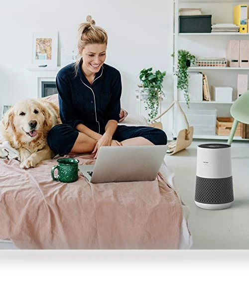 Air Purifier for Bedroom — HEPA Air Purifiers, Winix