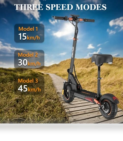Electric Scooter with Seat — Push Scooters, IENYRID