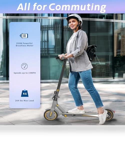 Electric Scooter for Adults — Push Scooters, EGGKING