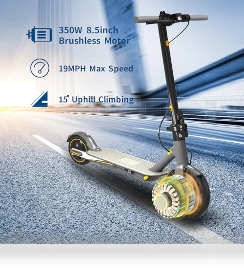 Electric Scooter for Adults — Push Scooters, EGGKING