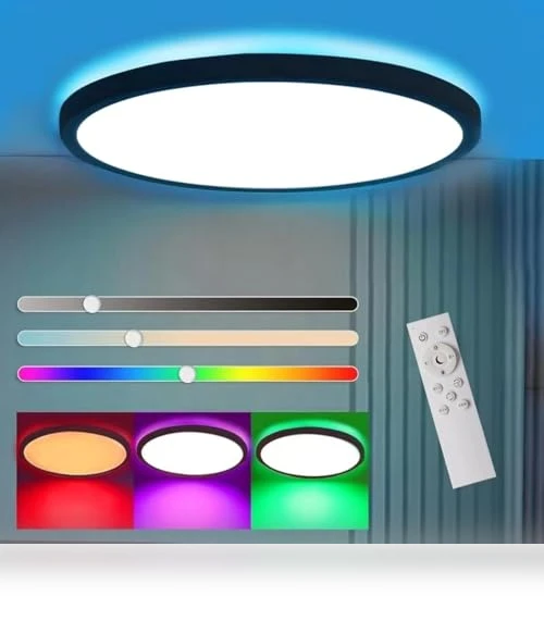 Flush Mount LED Ceiling Light — Overhead Lighting