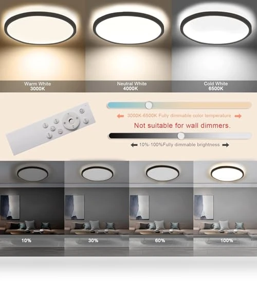 Flush Mount LED Ceiling Light — Overhead Lighting