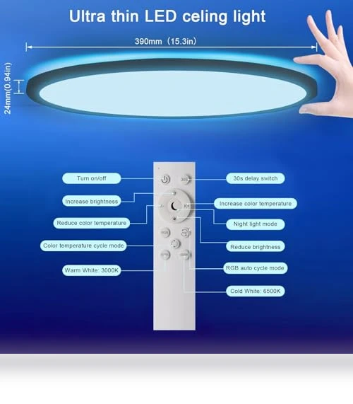 Flush Mount LED Ceiling Light — Overhead Lighting