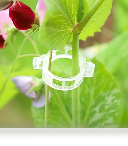 Reusable Plastic Plant Clips for Climbing Plants — Clamps, FKMEE