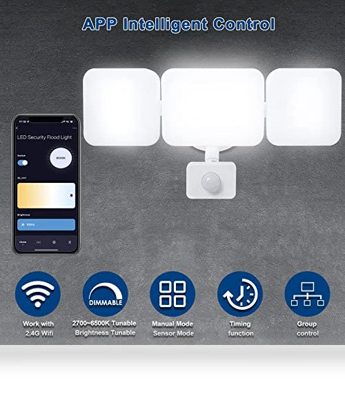 Smart Security Light Motion Sensor — Outdoor Security & Flood Lighting, EMANER