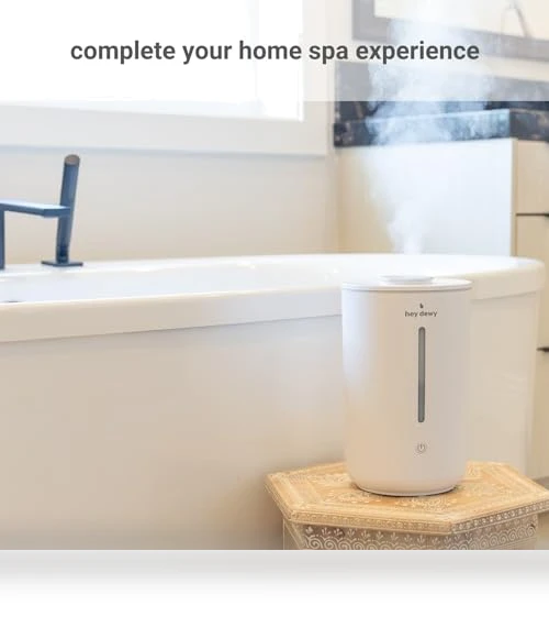 Wellness Humidifier — Air Moisturizers, Hey Dewy
