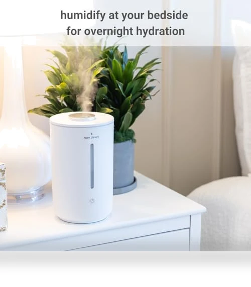 Wellness Humidifier — Air Moisturizers, Hey Dewy