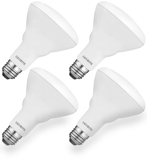 BR30 LED Bulb 4-Pack — Compact Fluorescent, LUXRITE