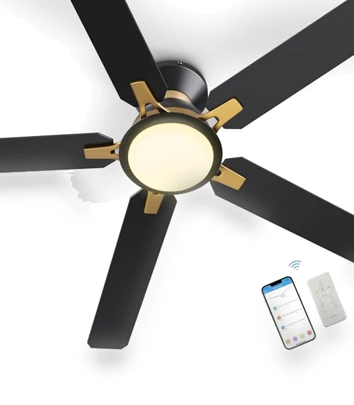 Smart Ceiling Fan with Lights — Ceiling Fan Wall Controls, SMAAIR