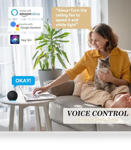 Smart Ceiling Fan with Lights — Ceiling Fan Wall Controls, SMAAIR