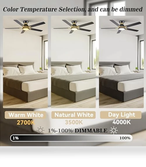 Smart Ceiling Fan with Lights — Ceiling Fan Wall Controls, SMAAIR