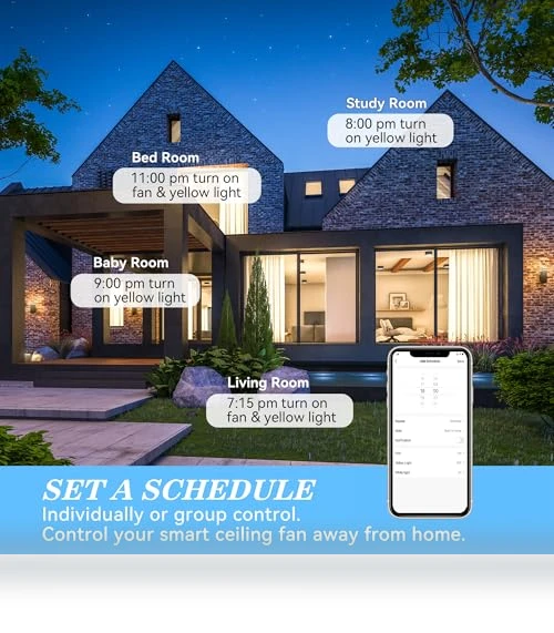 Smart Ceiling Fan with Lights — Ceiling Fan Wall Controls, SMAAIR