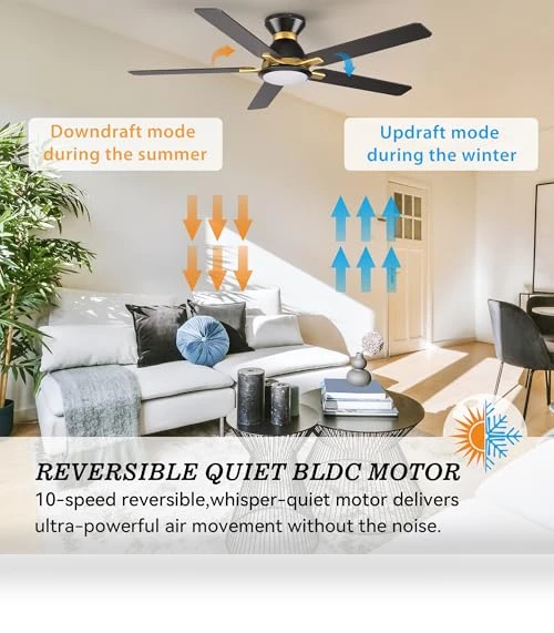 Smart Ceiling Fan with Lights — Ceiling Fan Wall Controls, SMAAIR