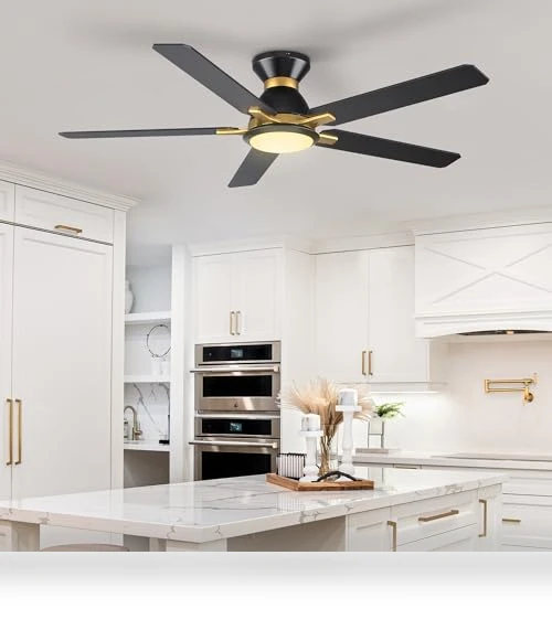 Smart Ceiling Fan with Lights — Ceiling Fan Wall Controls, SMAAIR