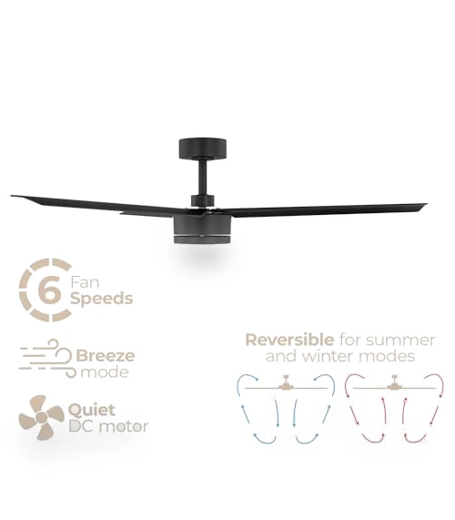 Smart Indoor and Outdoor 52in 3-Blade Ceiling Fan — Ceiling Fans & Accessories, East Grove Home