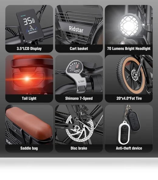 Electric Bike — Electric Vehicles, Ridstar