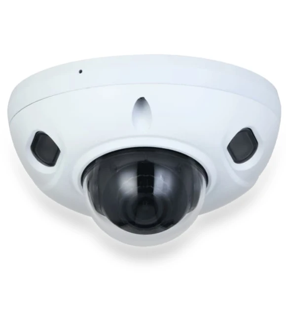 Outdoor Dome IP Camera — Dome Surveillance Cameras, Dahua