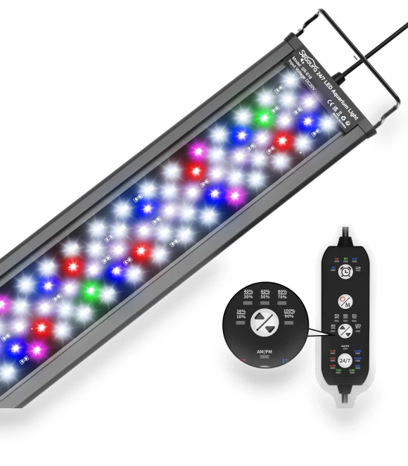 Aquarium with LED Lighting — Lights, AniWorld