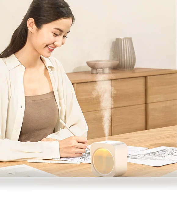 Mini Humidifier for Home Office — Air Moisturizers, Holland Ham