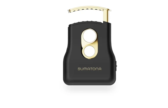 Straight Hair Iron — Curling Wands, KAYOMART Electric