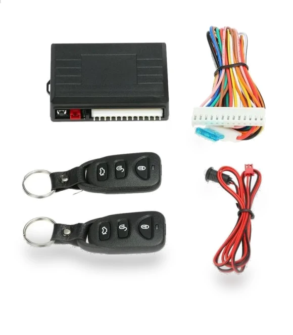 Keyless Access Controller — Accessories, Baby cheetah