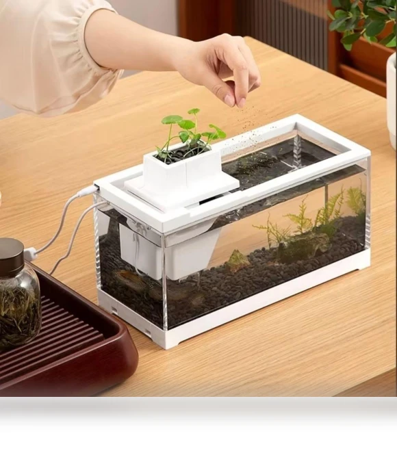 LED Illuminated Aquarium Fish Tank with Water Pump — Lights, Zhongqin