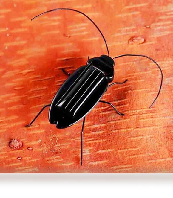 Solar-Powered Educational Cockroach Robot Toy — Solar Power, Haizhihong
