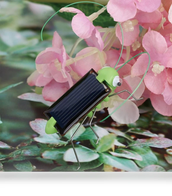 Solar Powered Insect Robot — Solar Power, Linmeng