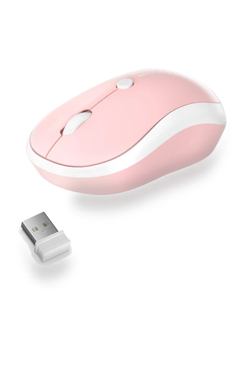 Wireless Silent Mouse 2.4G — Computer Mice, Mofii