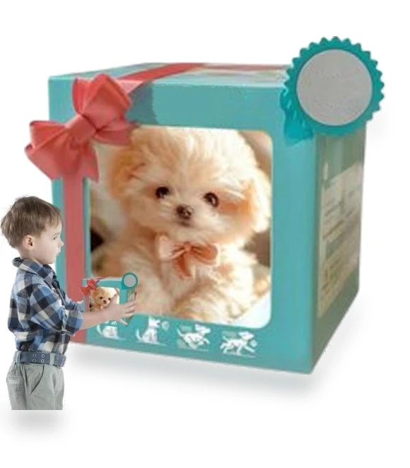 Wagging Tail Plush Robot Dog — Interactive, Shenhu Win