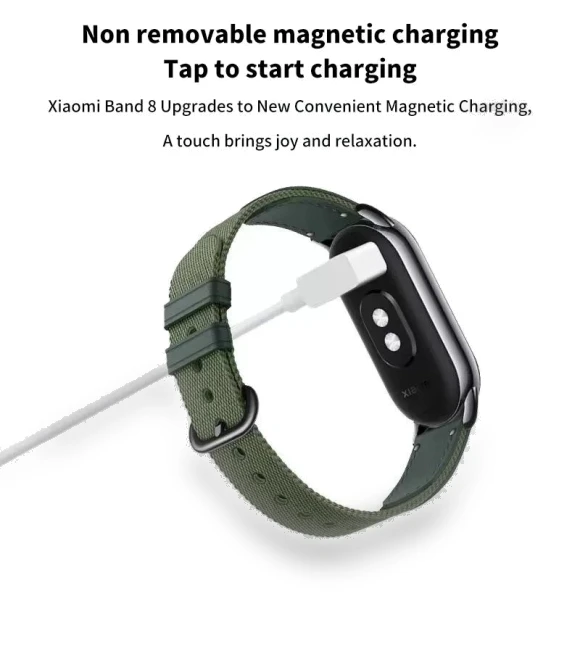 Magnetic Charging Cable — Fitness Bands, Loitering Bees