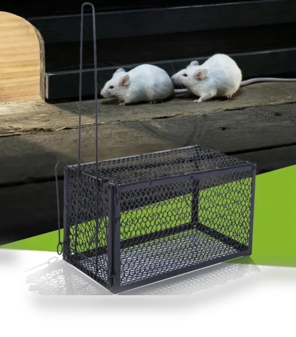 Smart Self-Locking Mousetrap — Traps, Lansoon Literary Girls-064