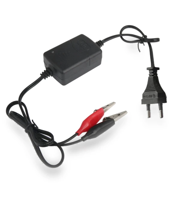 Compact Smart Charger — Vehicle Power Solutions, Joysweet