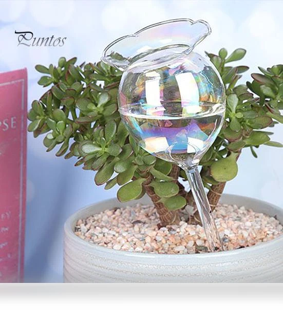 Glass Plant Waterer — Automatic Irrigation, Beautiful Garden