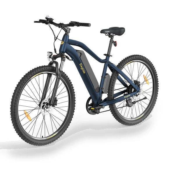 Electric Bike — Electric Self-Balancing Scooters, Eleglide