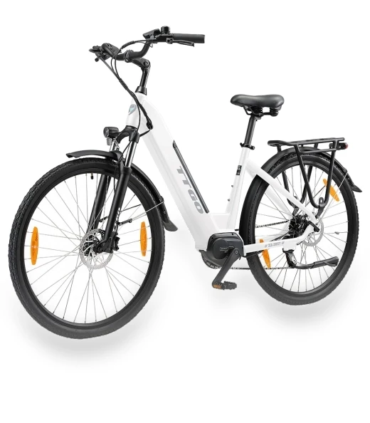 Electric Bike — Electric Self-Balancing Scooters, TTGO