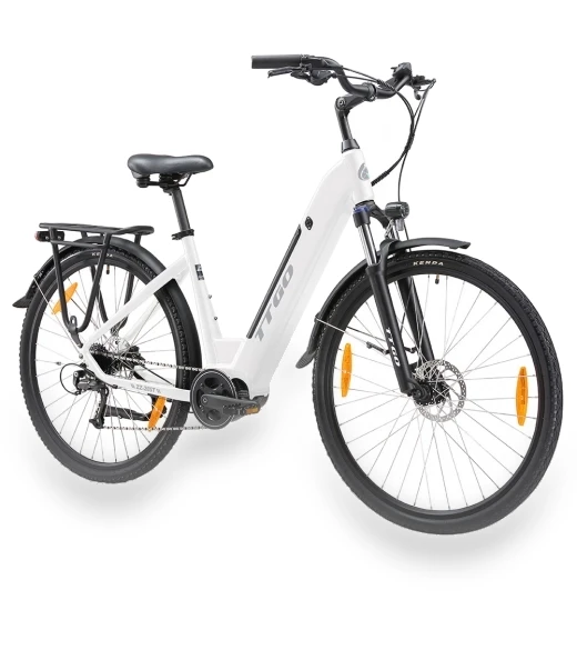 Electric Bike — Electric Self-Balancing Scooters, TTGO