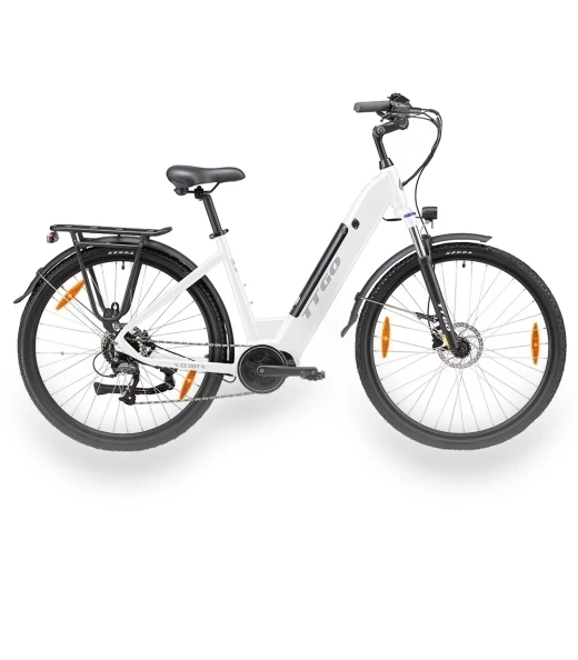 Electric Bike — Electric Self-Balancing Scooters, TTGO
